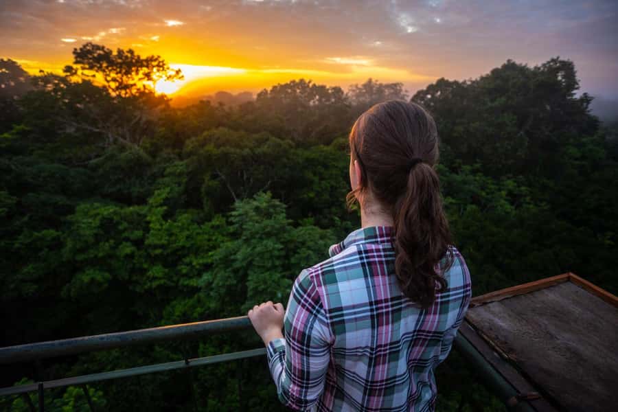 Iquitos: Full Day Tour in the Jungle | Amazon Safari - Dolphin watching near Iquitos