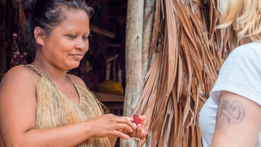 Iquitos: Native Community Experience & Amazon River Tour - What the $119 price really includes