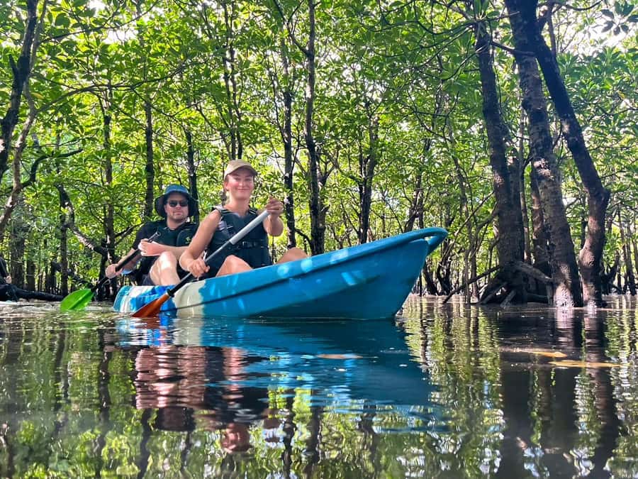 Iriomote island: Mangrove River SUP or Canoe Cruising Tour - Why Iriomote’s mangroves are worth your time