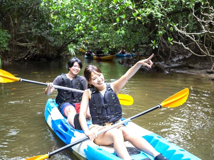 Iriomote island: Mangrove River SUP or Canoe Cruising Tour - Getting on the water for 90 minutes