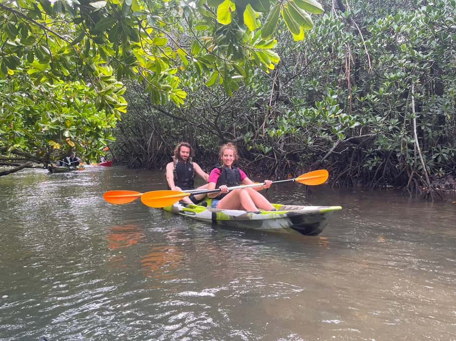 Iriomote island: Mangrove River SUP or Canoe Cruising Tour - A 15-minute break and return to the port