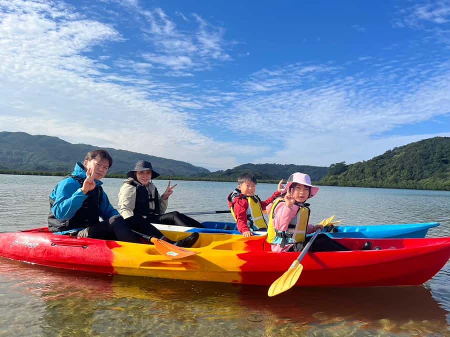 Iriomote island: Mangrove River SUP or Canoe Cruising Tour - Is $50 good value?