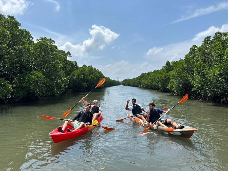 Iriomote island: Mangrove River SUP or Canoe Cruising Tour - Language, safety, and weather details