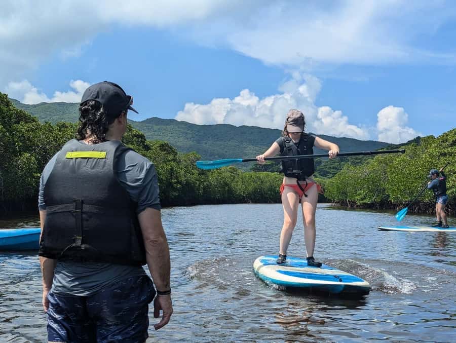 Iriomote island: Mangrove River SUP or Canoe Cruising Tour - Starting at Uehara Port