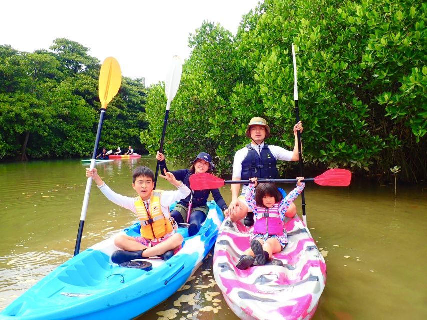 Ishigaki Island: 2-Hour Miyara River SUP or Canoeing Tour - Who should book the Miyara River tour?