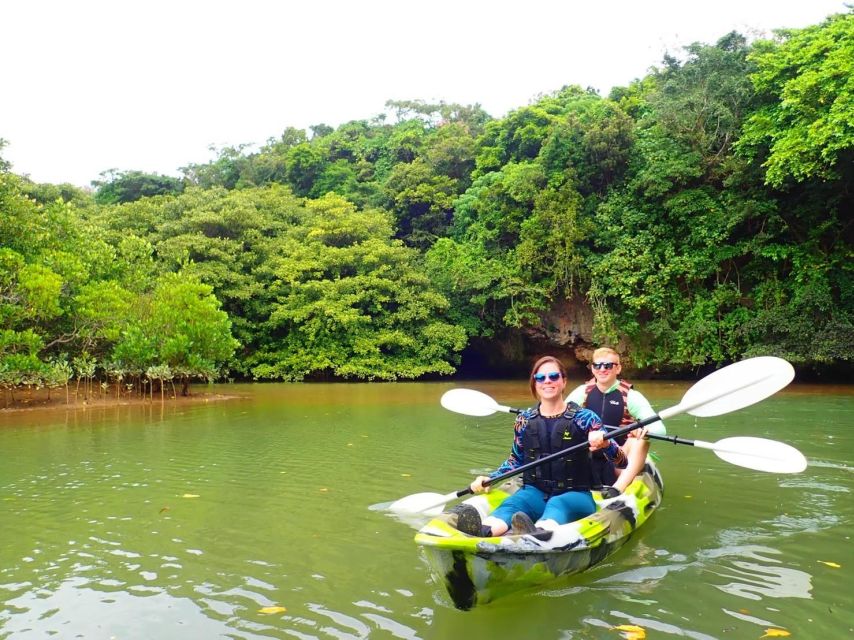 Ishigaki Island: 2-Hour Miyara River SUP or Canoeing Tour - Why the Miyara River is worth your time