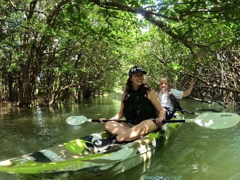 Ishigaki Island: 2-Hour Miyara River SUP or Canoeing Tour - Choosing a canoe or stand-up paddleboard