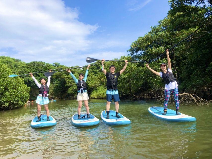 Ishigaki Island: 2-Hour Miyara River SUP or Canoeing Tour - What the 75-minute river outing feels like