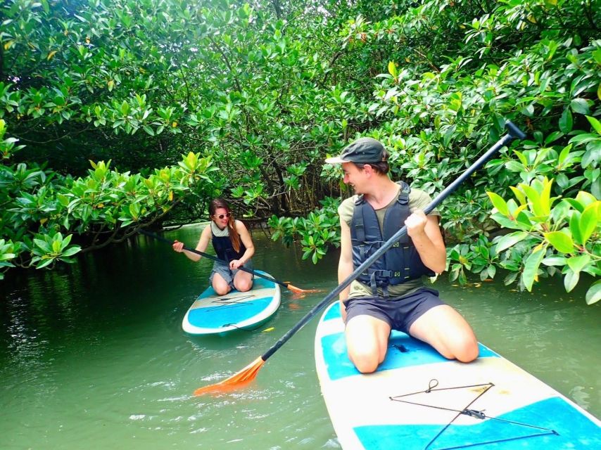 Ishigaki Island: 2-Hour Miyara River SUP or Canoeing Tour - A quiet family activity, not a thrill ride