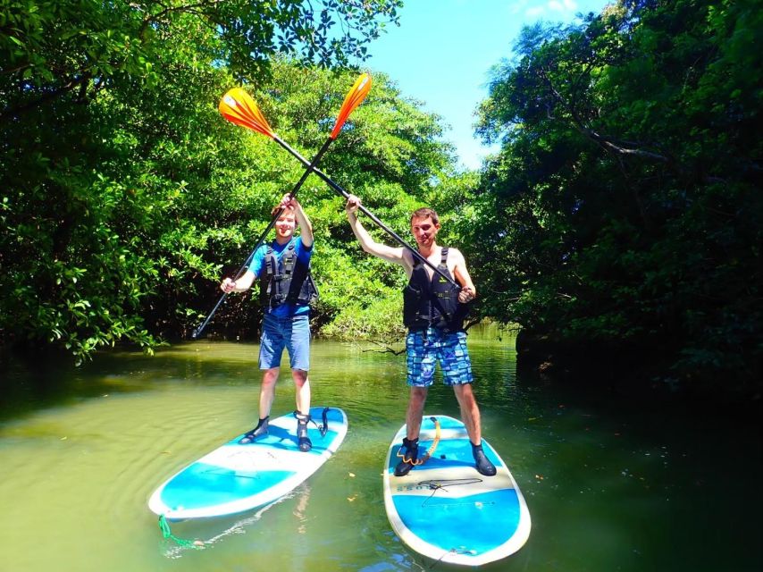 Ishigaki Island: 2-Hour Miyara River SUP or Canoeing Tour - Weather, language, and the pace of the day