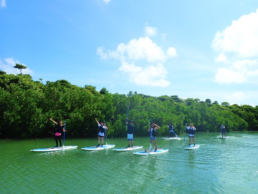 Ishigaki Island: 2-Hour Miyara River SUP or Canoeing Tour - Is $54 a fair price?