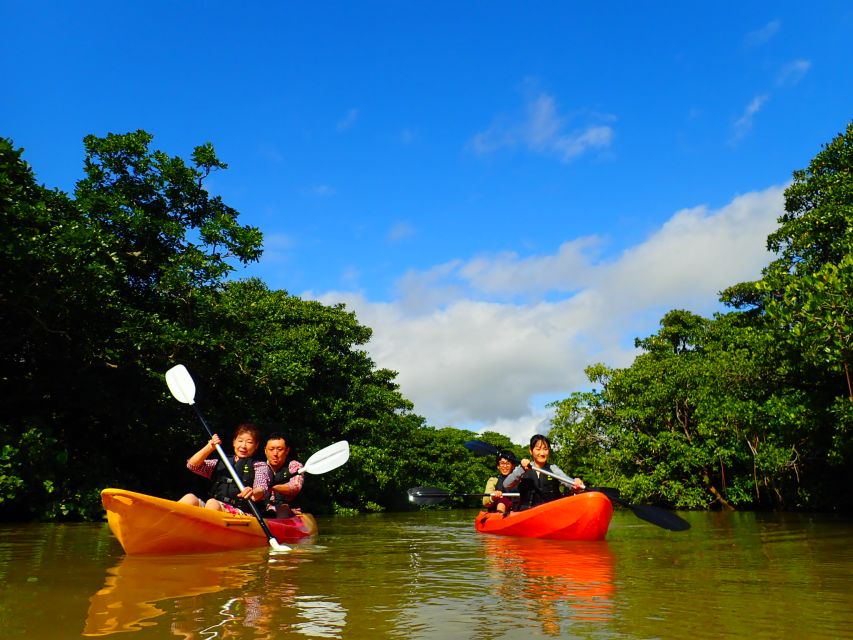 Ishigaki Island: 2-Hour Miyara River SUP or Canoeing Tour - From Ishigaki Port to the river