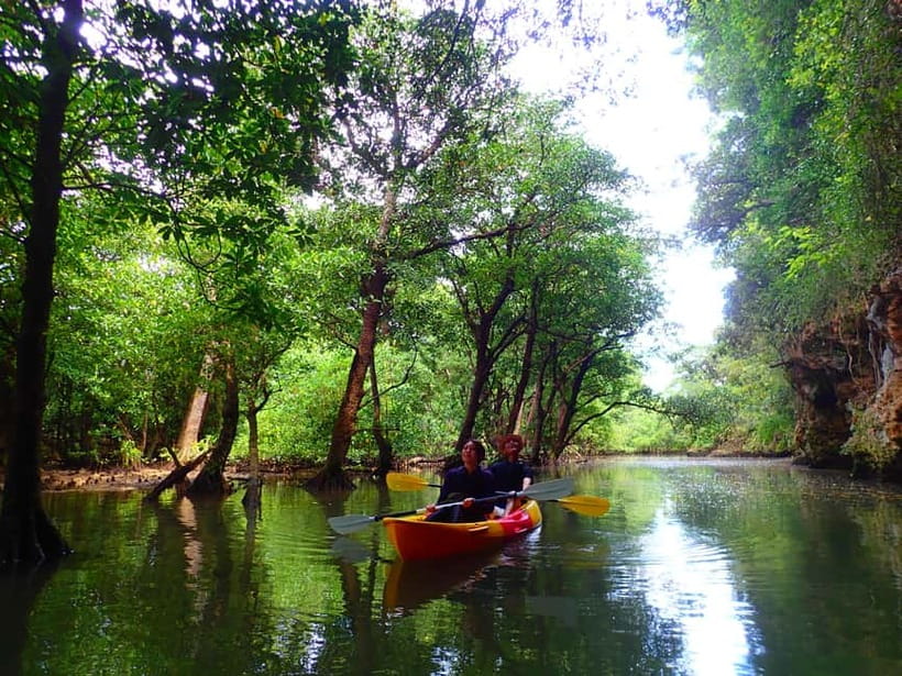 Ishigaki: Mangrove SUP or Canoe & Phantom Island Snorkeling - Key points at a glance