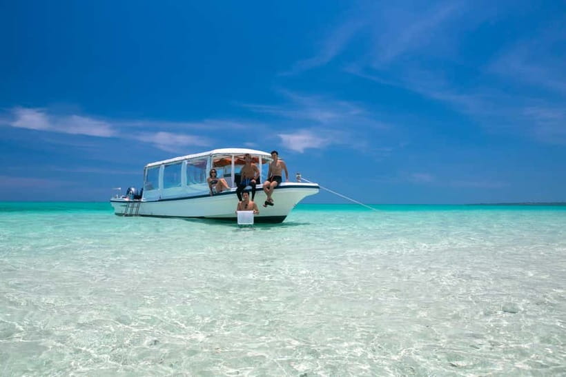 Ishigaki: Mangrove SUP or Canoe & Phantom Island Snorkeling - Two Ishigaki worlds in six hours