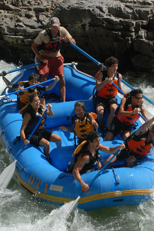 Jackson: 4-Hour Small Boat Snake River Whitewater Rafting - Key points to know before you book