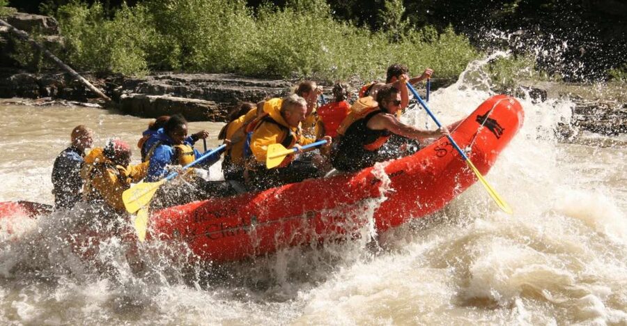 Jackson Hole: Snake River Whitewater Rafting Tour - What the 12-person raft means for you