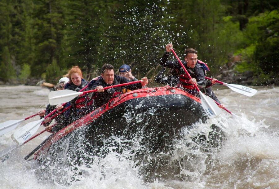 Jackson: Snake River Class 2-3 Whitewater Rafting Adventure - Key points before you book