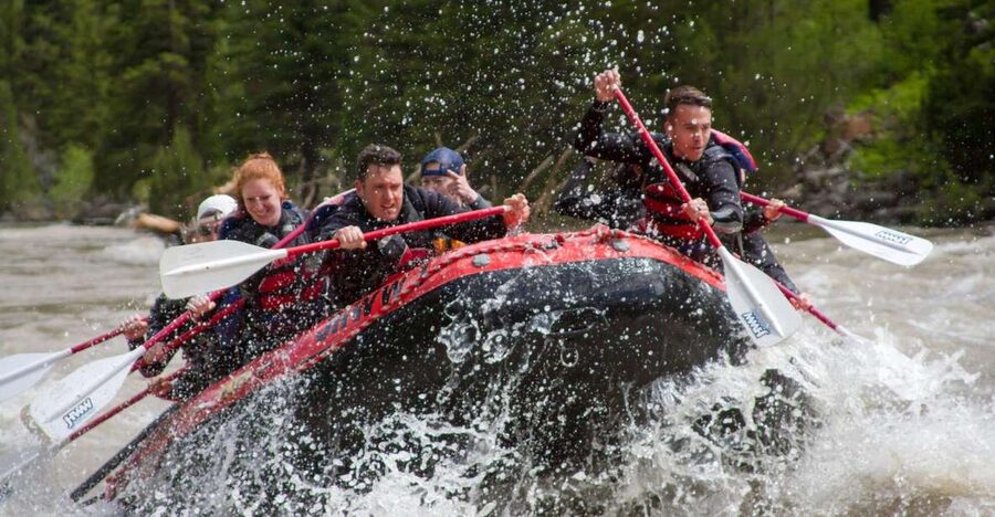 Jackson: Snake River Class 2-3 Whitewater Rafting Adventure - Launching into the Snake River Canyon