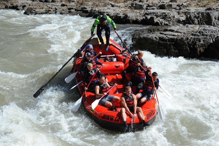 Jackson: Snake River Class 2-3 Whitewater Rafting Adventure - Canyon views and wildlife between the rapids
