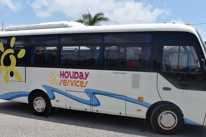 Jamaica Combo Tour: Dunn's River Falls and Bob Marley’s Nine Mile - Climbing Dunn’s River Falls