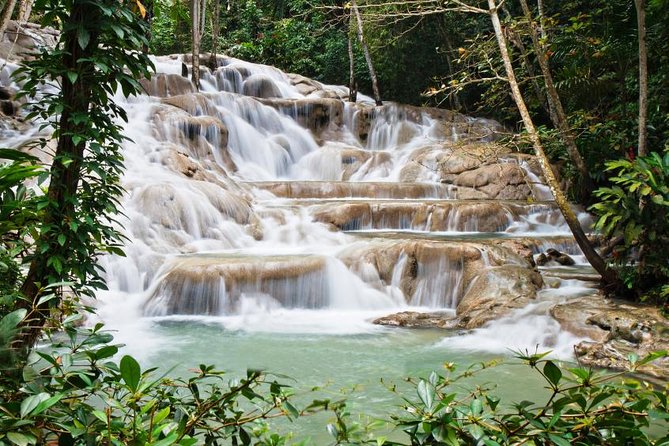 Jamaica Combo Tour: Dunn's River Falls and Bob Marley’s Nine Mile - The Luminous Lagoon add-on