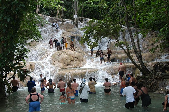 Jamaica Dunn's River Falls Party Cruise with Snorkeling - Should you book the Dunn’s River Falls party cruise?