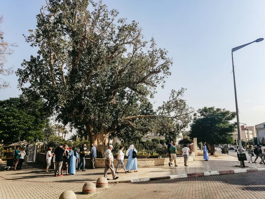 Jerusalem/Tel Aviv: Bethlehem, Jericho and Jordan River Tour - Jericho’s religious and archaeological stops