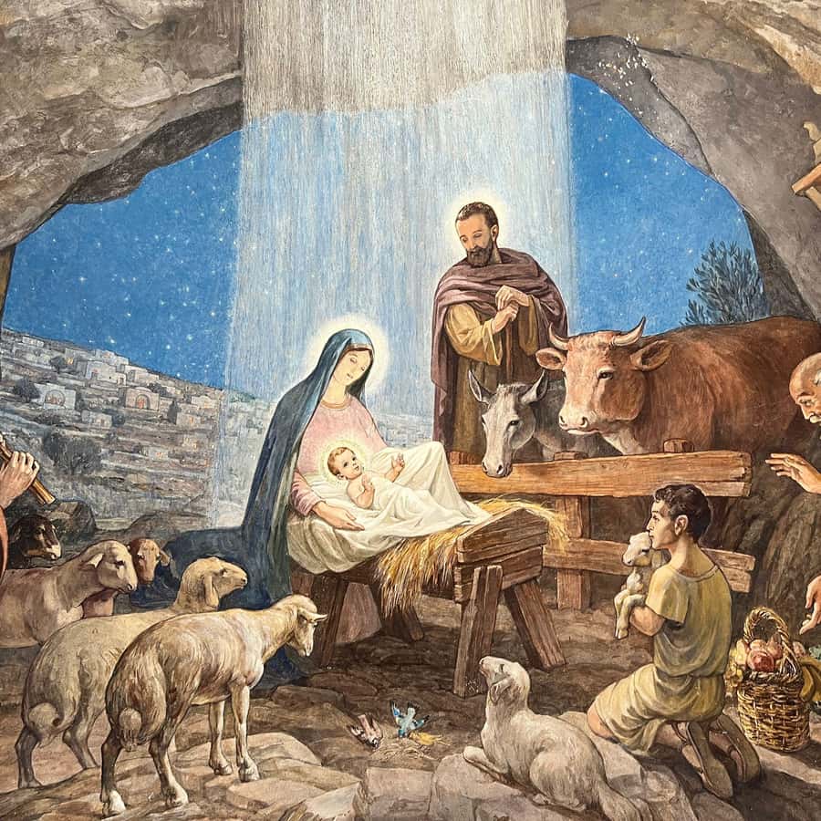 Jerusalem/Tel Aviv: Bethlehem, Jericho and Jordan River Tour - Zacchaeus’s Tree and Elijah Spring