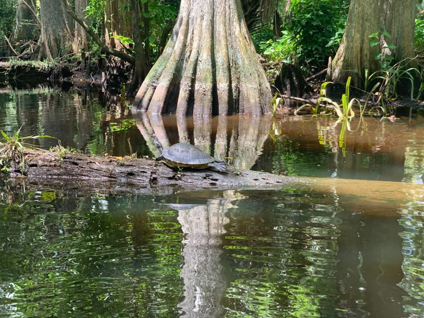 Jupiter: Wild and Scenic Loxahatchee River Kayak Tour - Key points at a glance