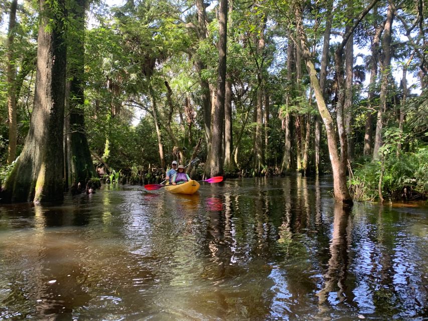 Jupiter: Wild and Scenic Loxahatchee River Kayak Tour - Starting at Riverbend Park in Jupiter