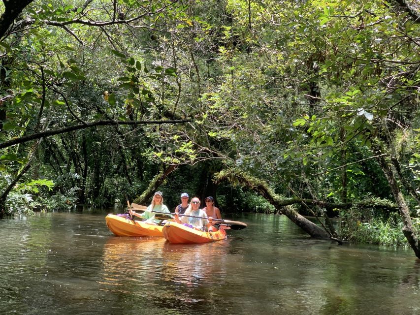Jupiter: Wild and Scenic Loxahatchee River Kayak Tour - Watching for turtles, birds, and alligators
