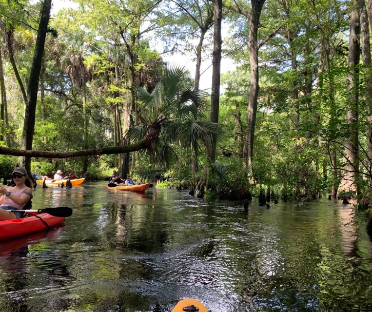 Jupiter: Wild and Scenic Loxahatchee River Kayak Tour - What the two-hour itinerary feels like