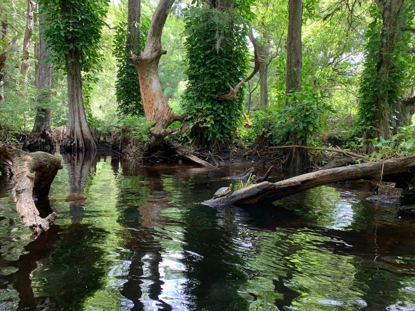 Jupiter: Wild and Scenic Loxahatchee River Kayak Tour - Who will enjoy this paddle most