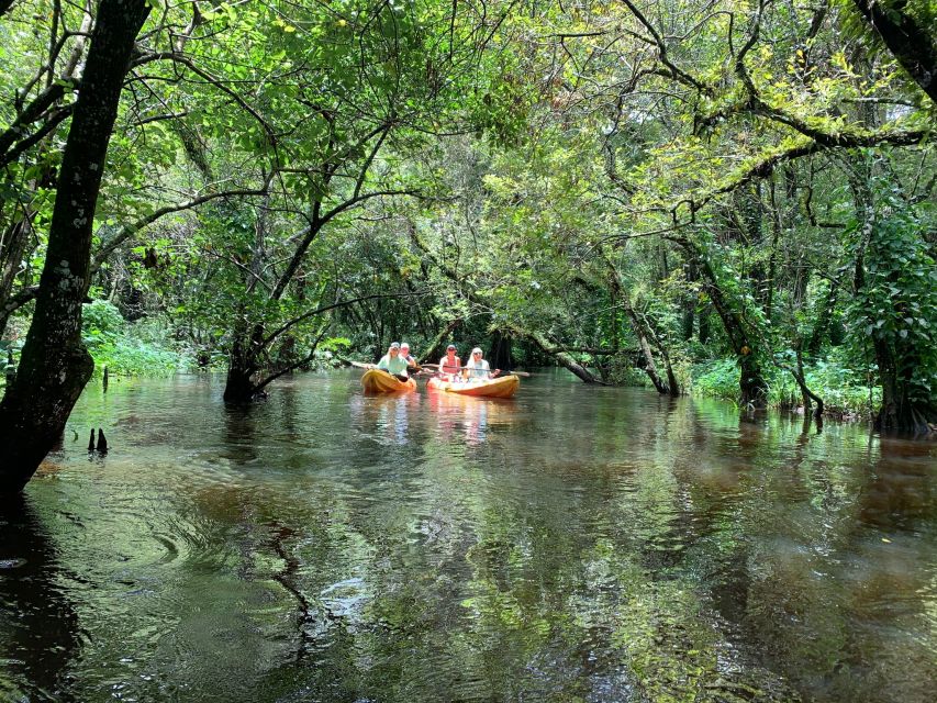 Jupiter: Wild and Scenic Loxahatchee River Kayak Tour - Weather, comfort, and practical limits