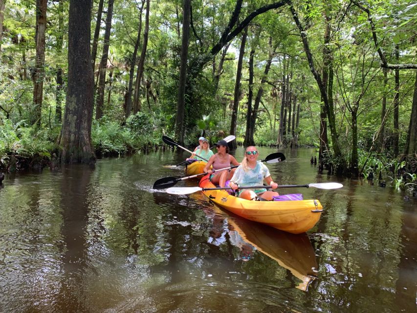 Jupiter: Wild and Scenic Loxahatchee River Kayak Tour - Paddling beneath the cypress canopy