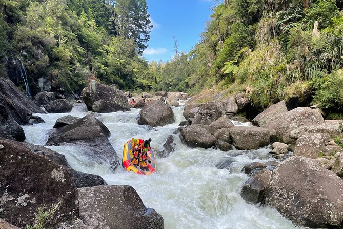 Kaituna Cascades - Grade 5 Wairoa River near Tauranga - How much value do you get for $117.91?