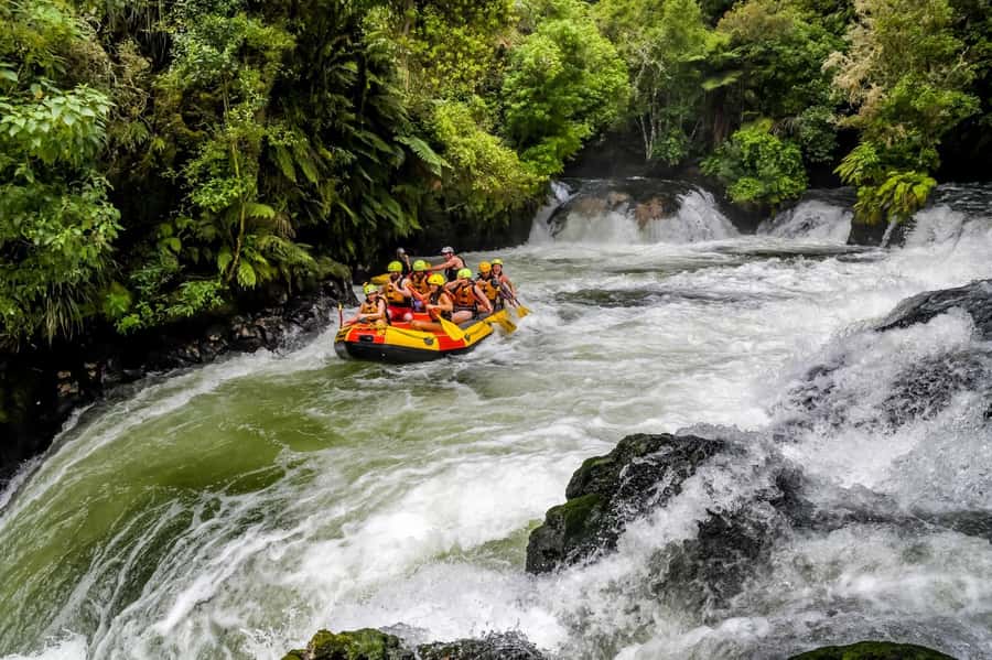 Kaituna River and Tutea Falls Whitewater Rafting - Key points at a glance
