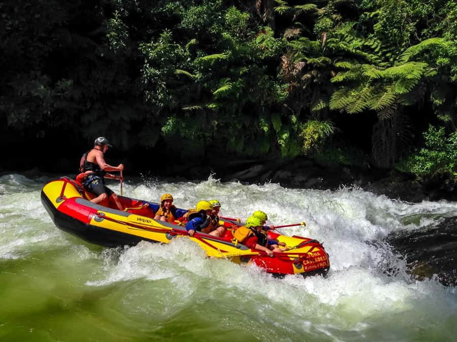 Kaituna River and Tutea Falls Whitewater Rafting - From the Rotorua base to the river