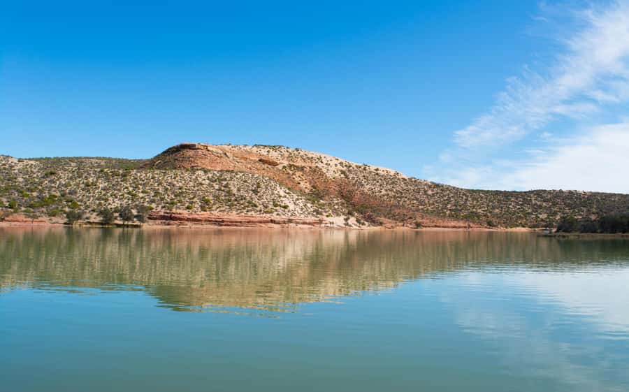 Kalbarri: Murchison River Wilderness Wildlife Cruise - Key points to know before you book