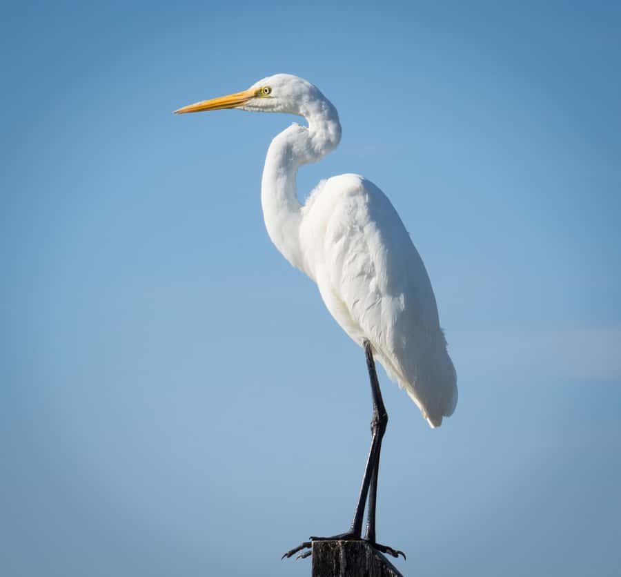 Kalbarri: Murchison River Wilderness Wildlife Cruise - Is $49 a fair price for 2.5 hours?