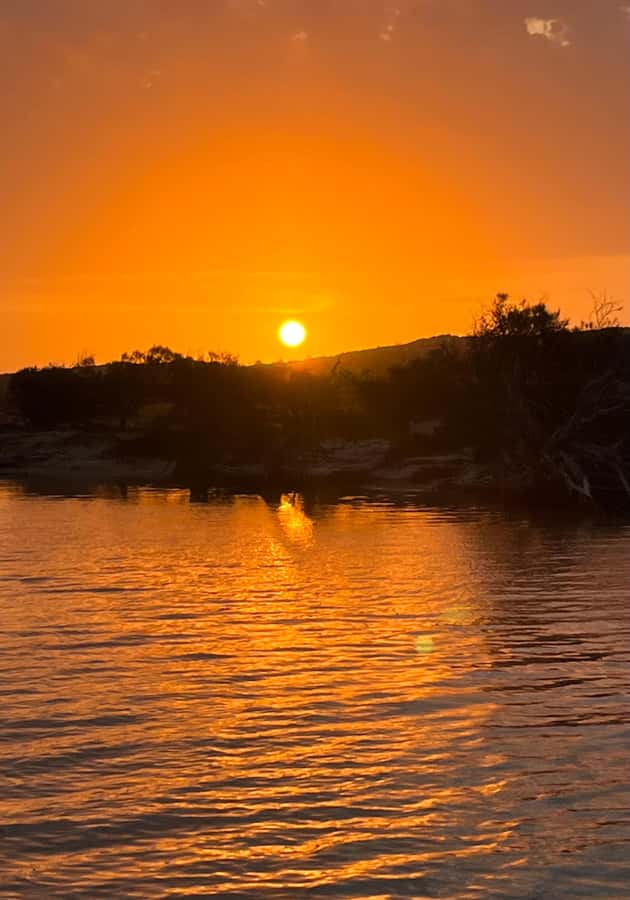 Kalbarri: Murchison River Wilderness Wildlife Cruise - Birdwatching along the open banks