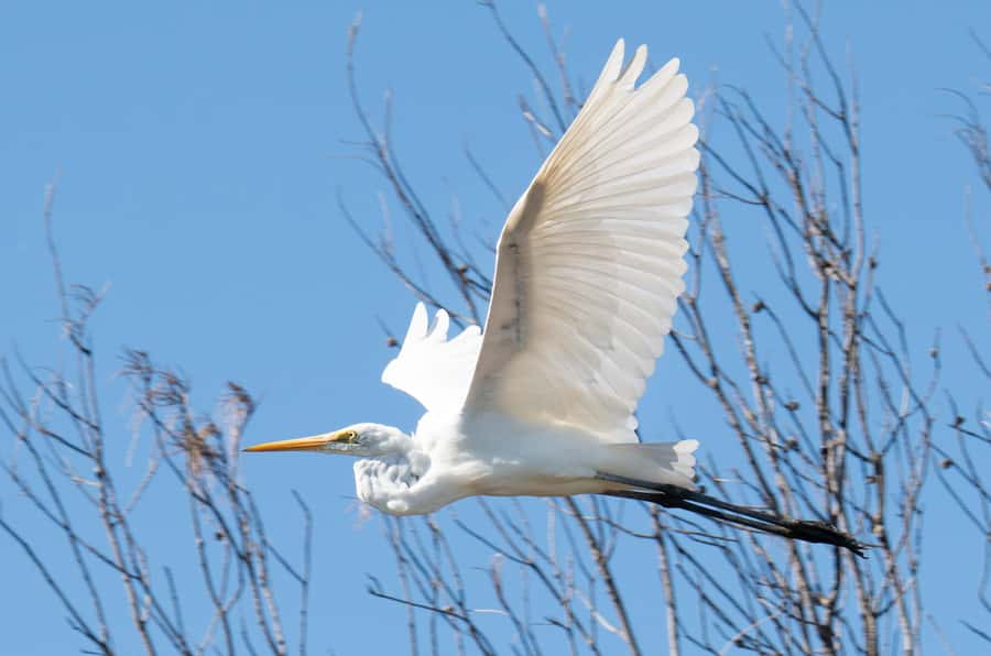 Kalbarri: Murchison River Wilderness Wildlife Cruise - Rocky Crossing and the return trip