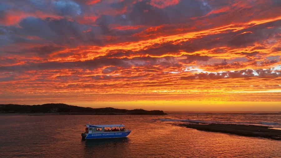 Kalbarri: Murchison River Wilderness Wildlife Cruise - Starting beside the Marine Rescue building