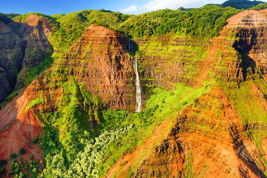 Kauai: Full-Day Waimea Canyon & Wailua River Tour - Who should book this Kauai tour?