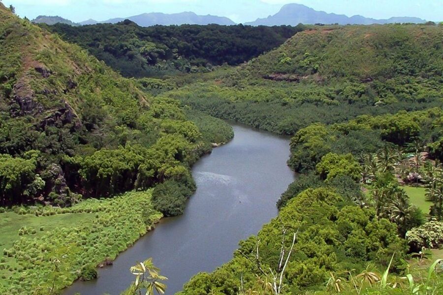 Kauai Northeast Tour, Fern Grotto River Cruise & Lighthouse - A full day of Kauai in six hours
