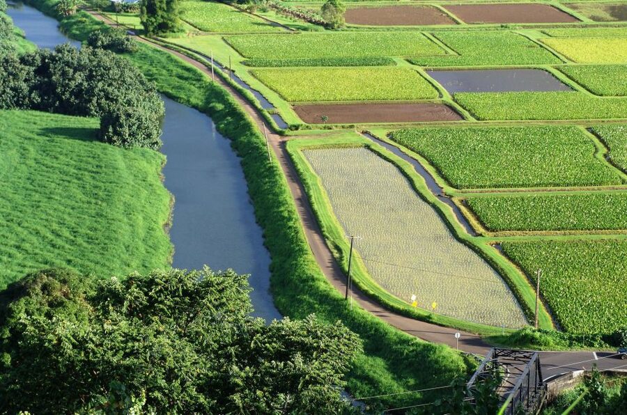 Kauai Northeast Tour, Fern Grotto River Cruise & Lighthouse - Starting with waterfalls and sacred Hawaiian sites