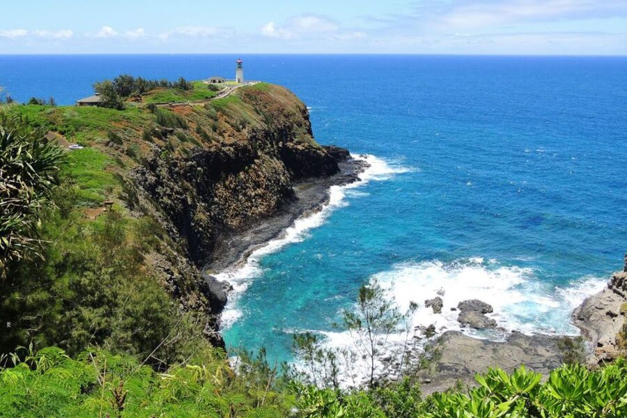 Kauai Northeast Tour, Fern Grotto River Cruise & Lighthouse - Kilauea Lighthouse and the seabird refuge