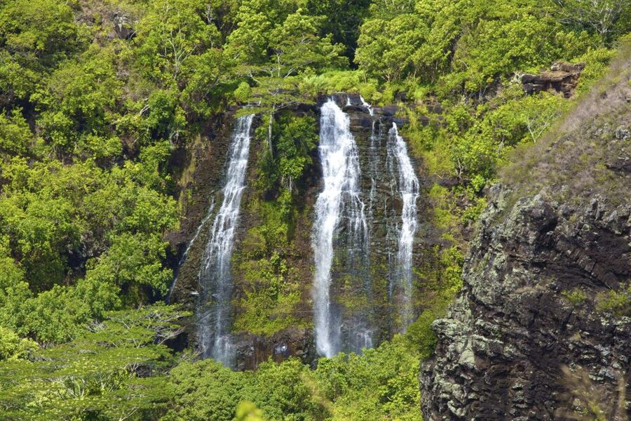 Kauai Northeast Tour, Fern Grotto River Cruise & Lighthouse - Who will enjoy this Kauai route most?