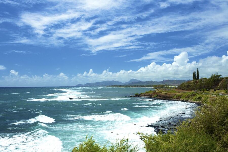 Kauai Northeast Tour, Fern Grotto River Cruise & Lighthouse - Practical tips for getting the most from the day