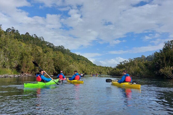 Kayak through the Sunken Forest of the Maullín River - Key points to know before you book